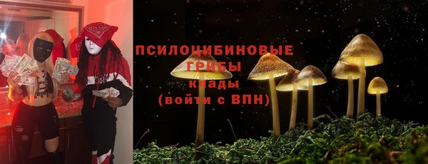 соль ск Вязьма
