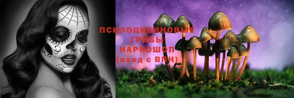 соль ск Вязьма