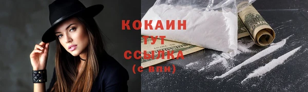spice Тында