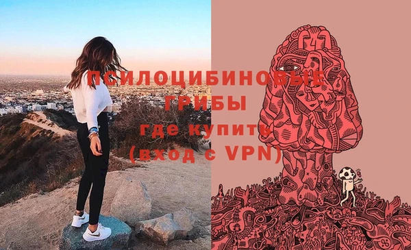 прущий лед Туринск