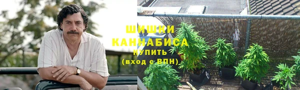 спиды Ельня