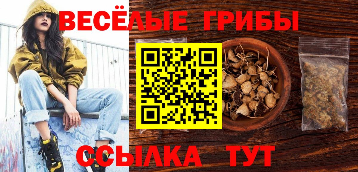 Снежинск  Галлюциногенные грибы GOLDEN TEACHER  Галлюциногенные грибы ЛСД  Вход с VPN 