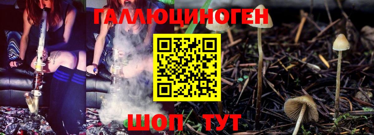 Галлюциногенные грибы мухоморы Снежинск